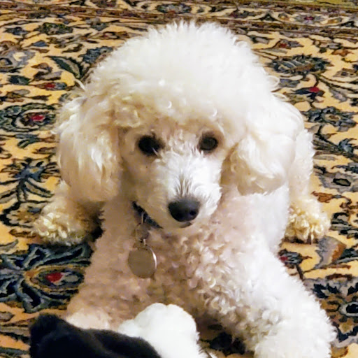 Julia Levin Photo 34