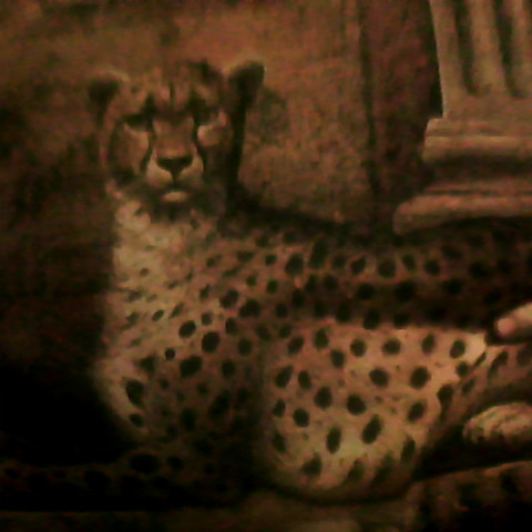 Jessie Hardy Photo 9