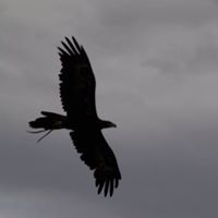 Jonathan Turk Photo 23