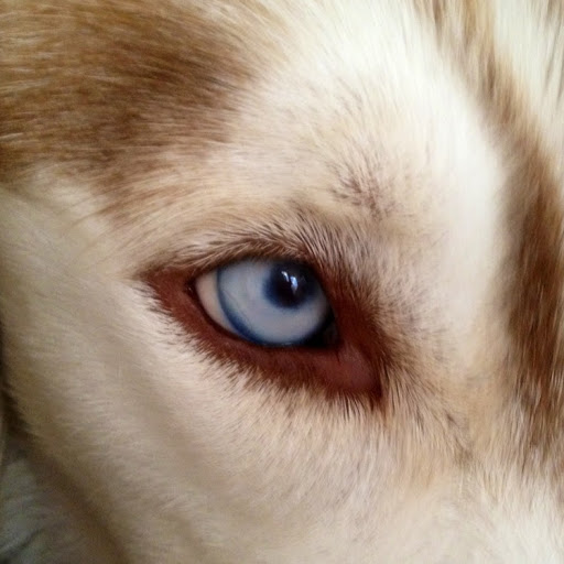 Donovan Fitzpatrick Photo 15