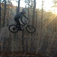 Tim Gallimore Photo 5