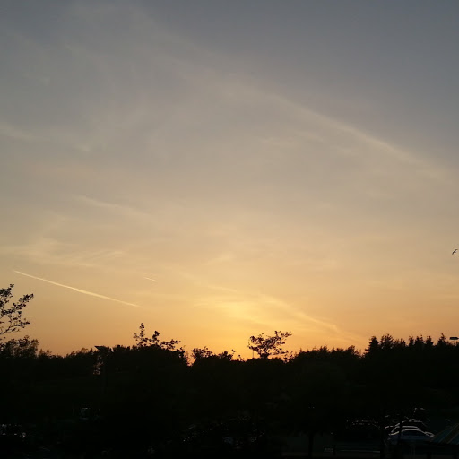 Tony Fuller Photo 41