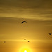Doris Beckwith Photo 14