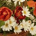 John Segreto Photo 10