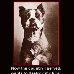 Gerald Griffin Photo 28