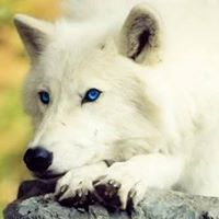 Bonnie Richard Photo 11