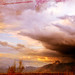 Ryan Draper Photo 21