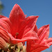 Rose West Photo 46