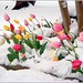 James Stover Photo 39