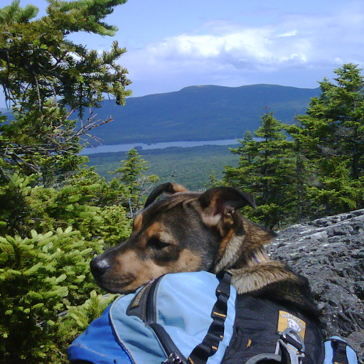 David Franck Photo 16