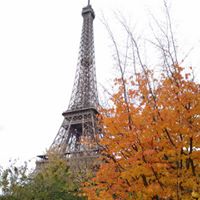 Anita Cunningham Photo 38