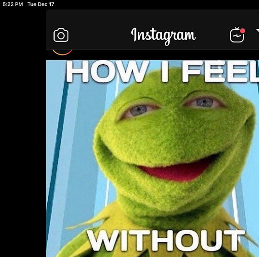 Barbara Gamble Photo 29