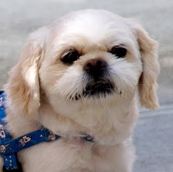 Debbie Hull Photo 36