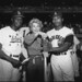 Donna Cole Photo 18