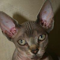 Harry Welch Photo 33