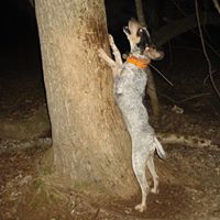 Darren Rice Photo 38