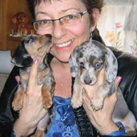 Cheryl Kirkman Photo 5