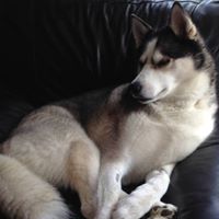 Hazel Hughes Photo 10