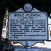 Virginia Fleming Photo 12