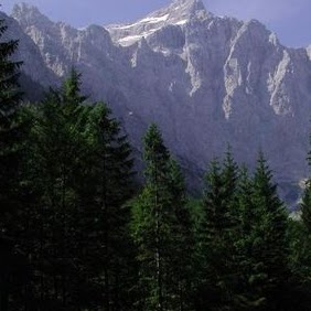 Terry Evans Photo 14 Terry Evans Photo 14