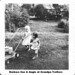 Sue Trotter Photo 24