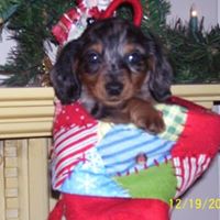 Kellie Thompson Photo 15