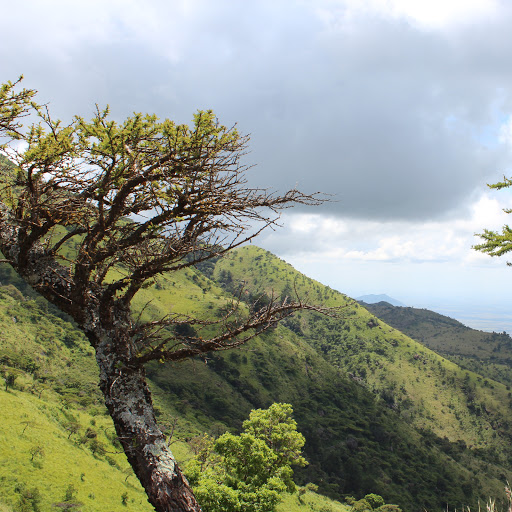 Claudia Finn Photo 6