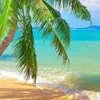 Tracy Pitts Photo 21