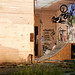 Brandon Riley Photo 44