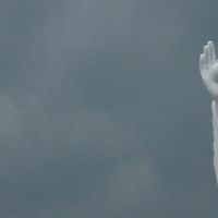 Jeffery White Photo 27