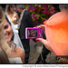 Laura Lawrence Photo 12