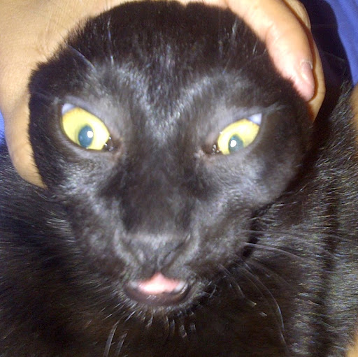 Rita Mcdougall Photo 2