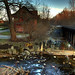 Daniel Comstock Photo 29