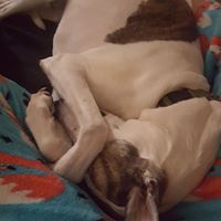 Sara Arnett Photo 23