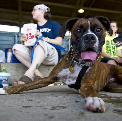 Michelle Sorrell Photo 10