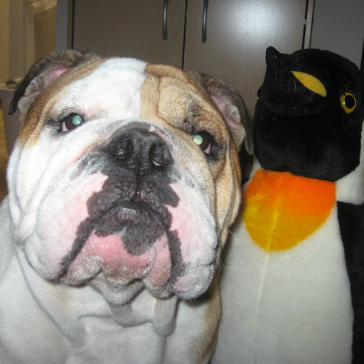 Crystal Byrd Photo 22