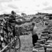 Donald Whiting Photo 8