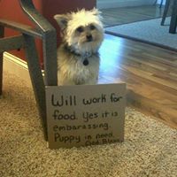 Josh Fletcher Photo 17