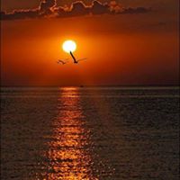 Diane Richards Photo 1