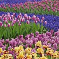 Megan Mchale Photo 14