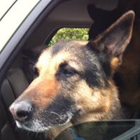 Tracie Hunt Photo 28