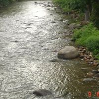 Carol Mayes Photo 17