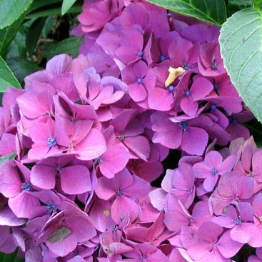 Jenny Watts Photo 15