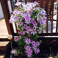 Cathy Tuttle Photo 31