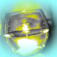 Willie Colon Photo 39 Willie Colon Photo 39