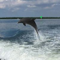 Gary Crowder Photo 17