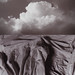 William Capps Photo 43