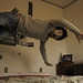 Michele Peters Photo 24