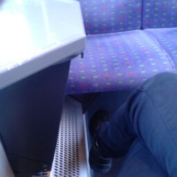 Rebecca Link Photo 4