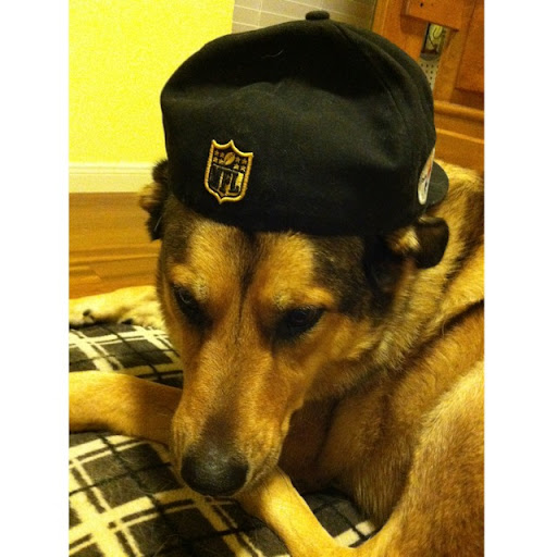 Daniel Sherman Photo 48